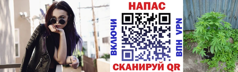 Купить закладки  Полесск  Бошки марихуана план 